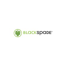 BLACKSPADE